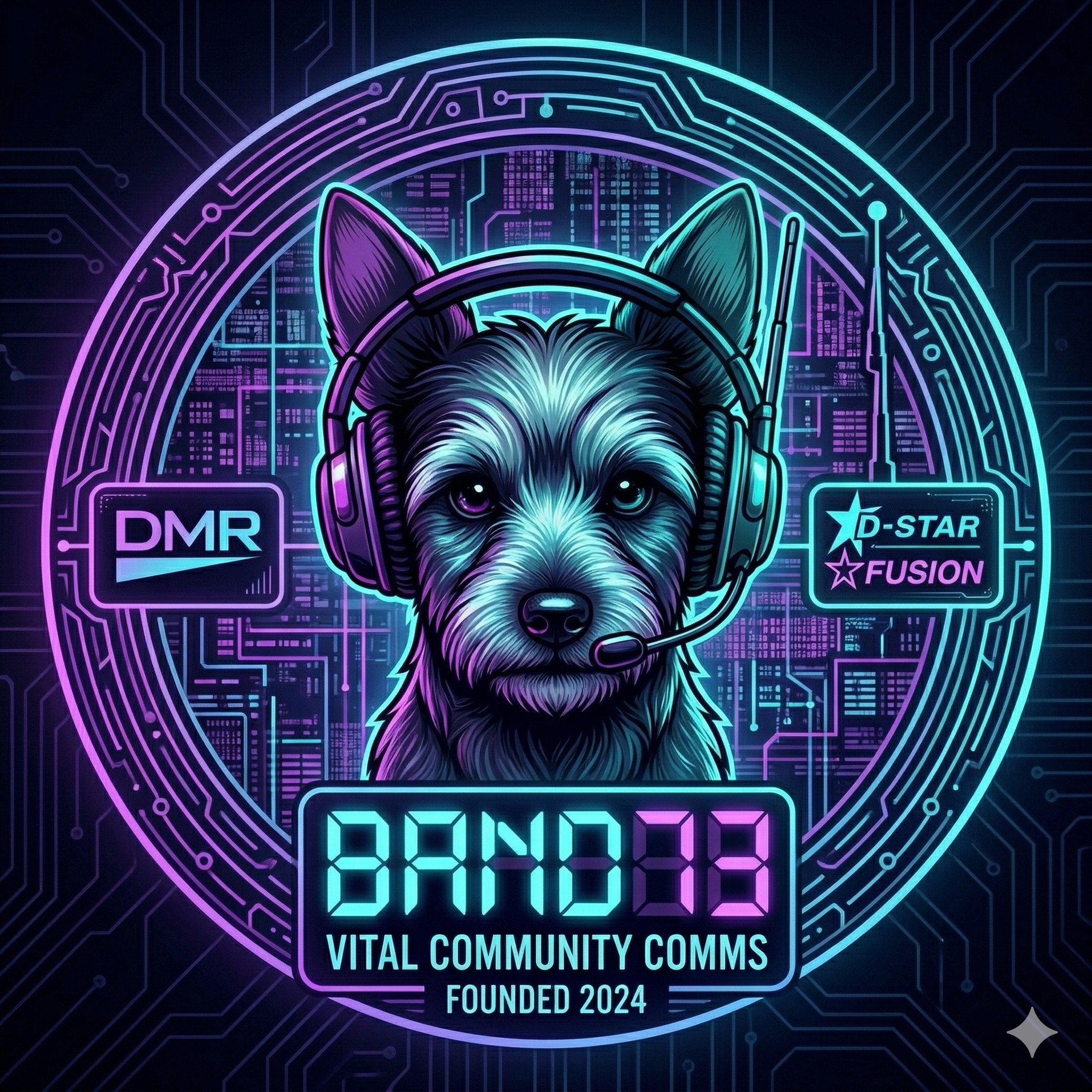 Texas Digital Powerhouse